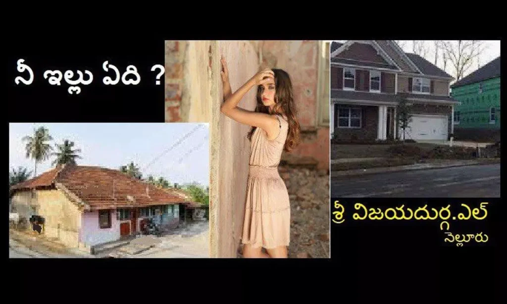 "నీ ఇల్లు ఏది" ( వ్యాసం)
