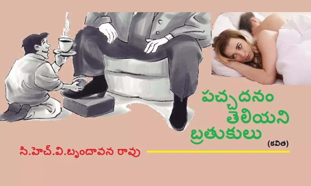 పచ్చదనం తెలియని బ్రతుకులు