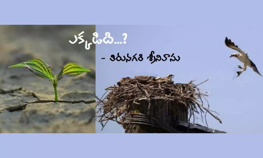 ఎక్క‌డిది...?
