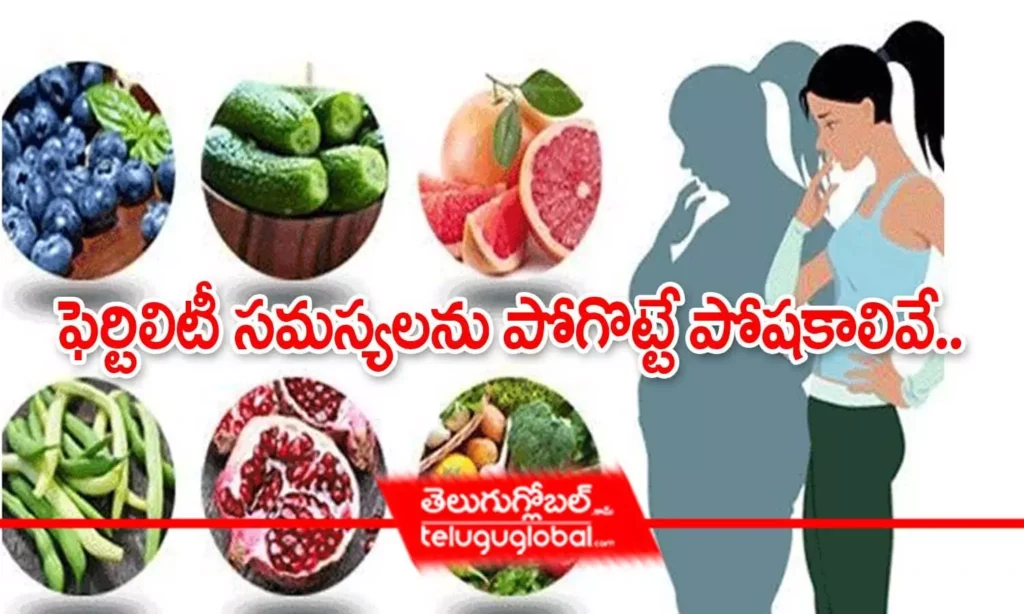 ఫెర్టిలిటీ సమస్యలను పోగొట్టే పోషకాలివే..