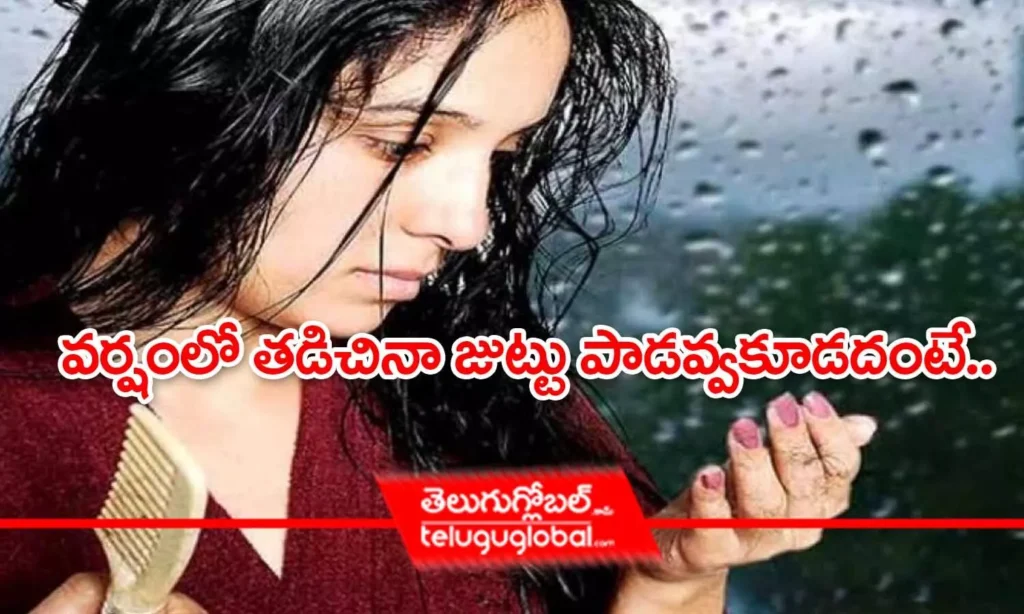 వర్షంలో తడిచినా జుట్టు పాడవ్వకూడదంటే..