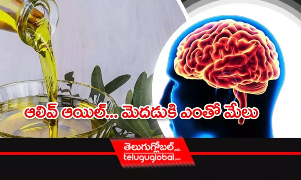 ఆలివ్ ఆయిల్... మెదడుకి ఎంతో మేలు