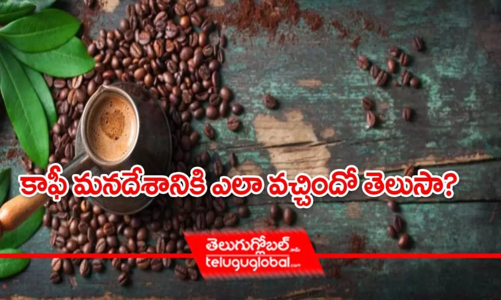 కాఫీ మనదేశానికి ఎలా వచ్చిందో తెలుసా?